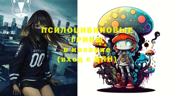 амфетамин Новодвинск