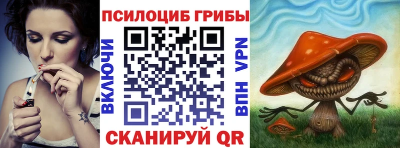 Купить закладки  Солнечногорск  Псилоцибиновые грибы ЛСД 